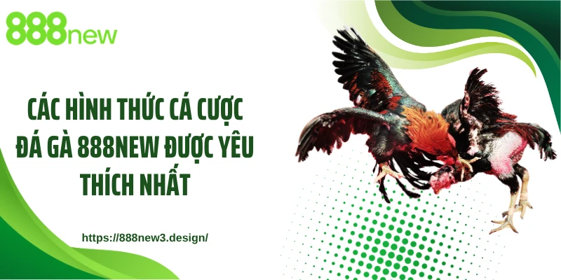 Các hình thức cá cược đá gà 888NEW được yêu thích nhất