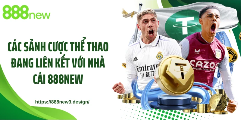 Các sảnh cược thể thao đang liên kết với nhà cái 888NEW