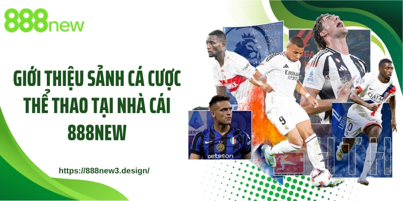 Giới thiệu sảnh cá cược thể thao tại nhà cái 888NEW