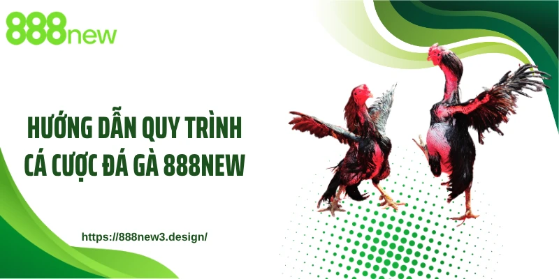 Hướng dẫn quy trình cá cược đá gà 888NEW