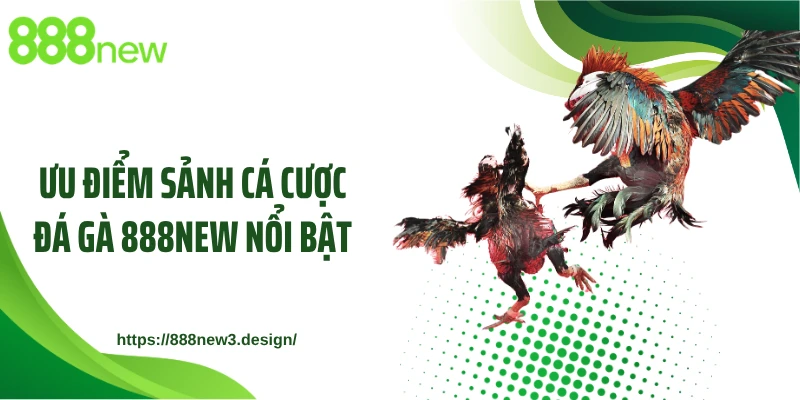 Ưu điểm sảnh cá cược đá gà 888NEW nổi bật